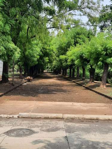 Venta de Terreno en Sabana Grande  - Imagen 6