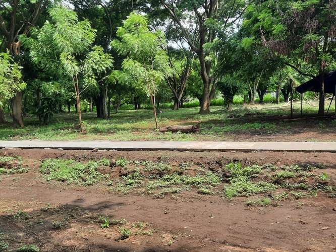 Venta de Terreno en Sabana Grande  - Imagen 10