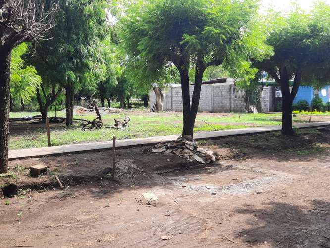 Venta de Terreno en Sabana Grande  - Imagen 15