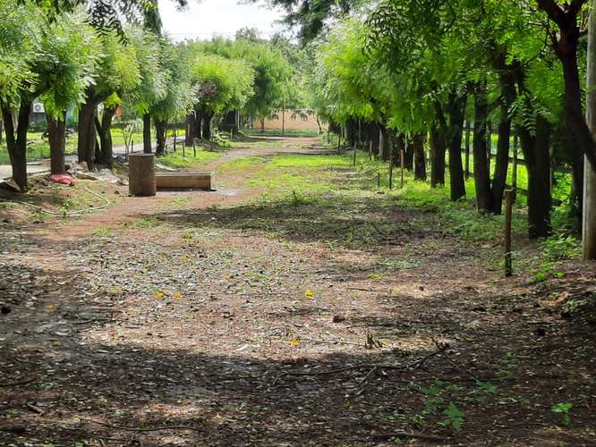 Venta de Terreno en Sabana Grande  - Imagen 13