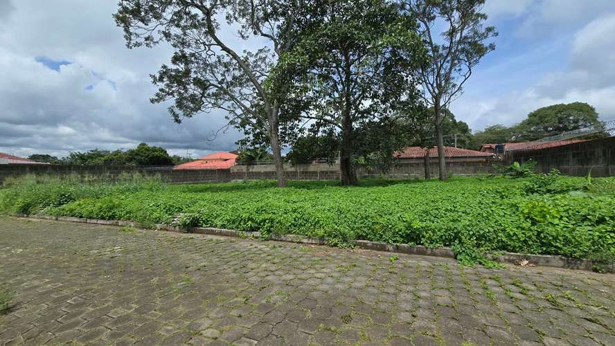 Se vende 2 Lotes planos dentro de área residencial Los Acetunos, Masatepe