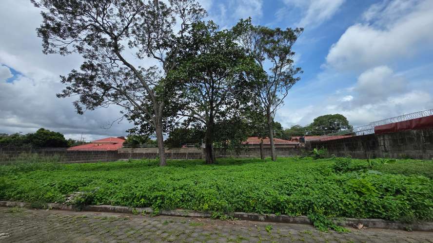 Se vende 2 Lotes planos dentro de área residencial Los Acetunos, Masatepe