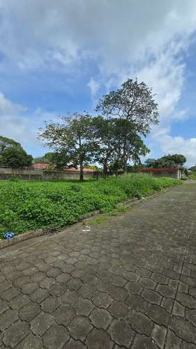 Se vende 2 Lotes planos dentro de área residencial Los Acetunos, Masatepe