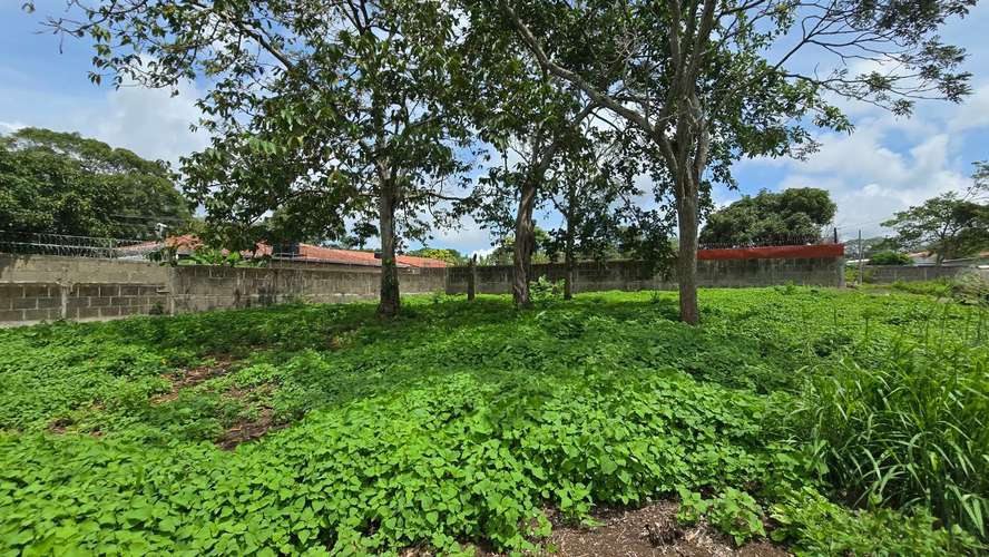 Se vende 2 Lotes planos dentro de área residencial Los Acetunos, Masatepe