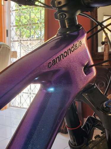 Cannondale Jekyll Carbono Doble Suspensión Dunhill y Enduro Talla L