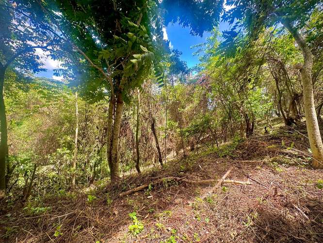 Venta de Terreno en Villa Fontana Sur  - Imagen 18