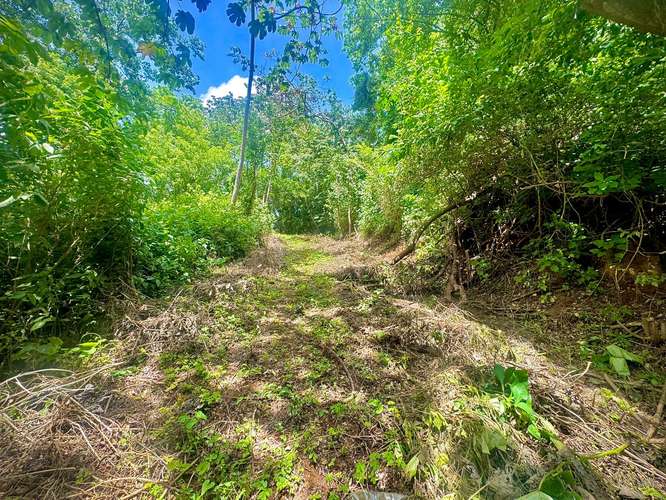 Venta de Terreno en Villa Fontana Sur  - Imagen 6
