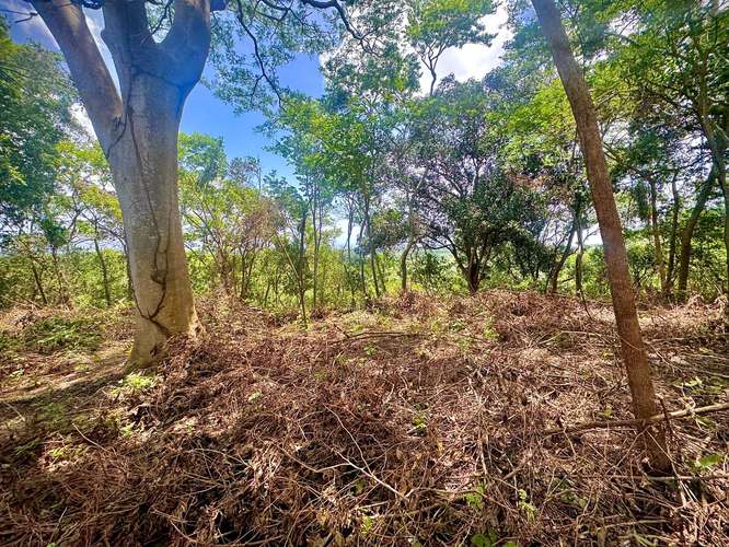 Venta de Terreno en Villa Fontana Sur  - Imagen 5