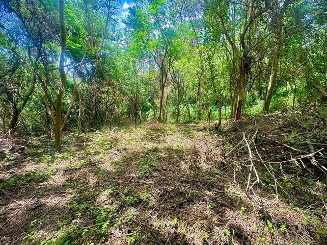 Venta de Terreno en Villa Fontana Sur  - Imagen 2