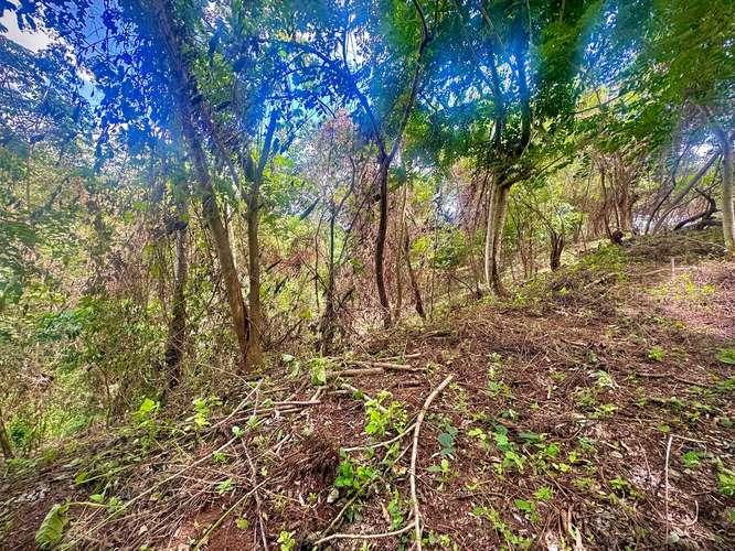 Venta de Terreno en Villa Fontana Sur  - Imagen 7