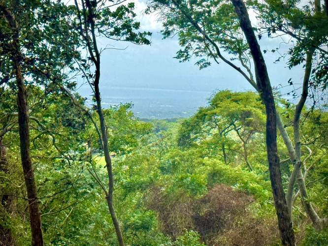 Venta de Terreno en Villa Fontana Sur  - Imagen 13