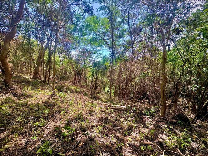 Venta de Terreno en Villa Fontana Sur  - Imagen 11