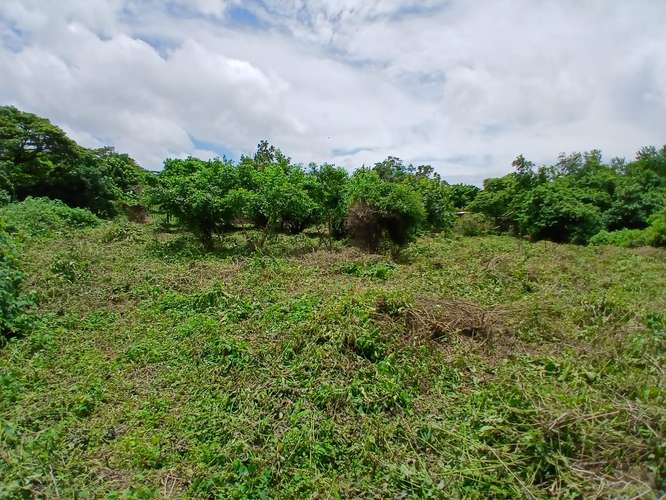 Se vende terreno las Jaguitas - Imagen 3