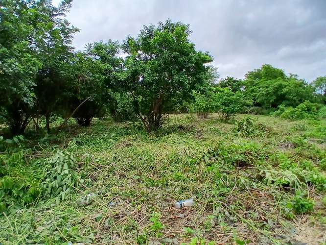 Se vende terreno las Jaguitas - Imagen 5