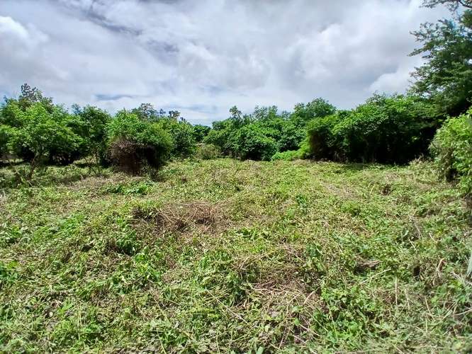 Se vende terreno las Jaguitas - Imagen 4