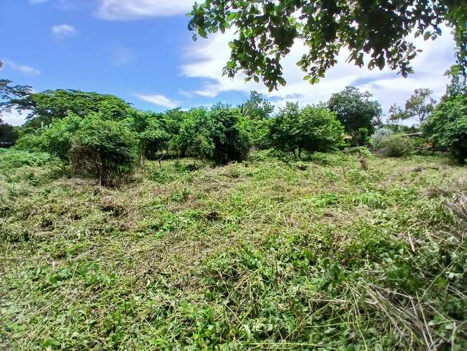 Se vende terreno las Jaguitas - Imagen 6