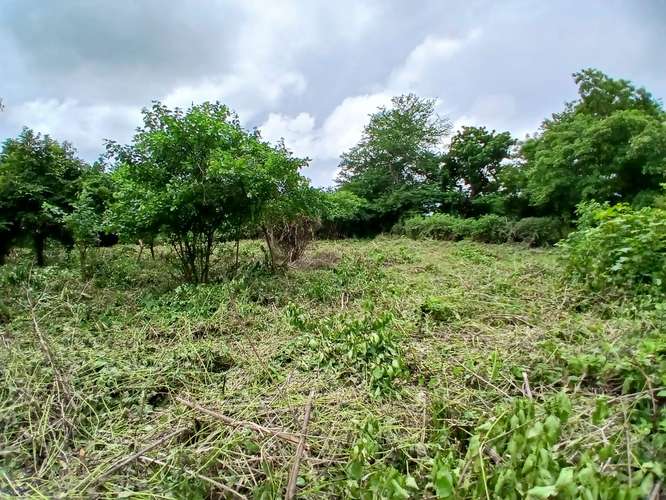 Se vende terreno las Jaguitas - Imagen 2