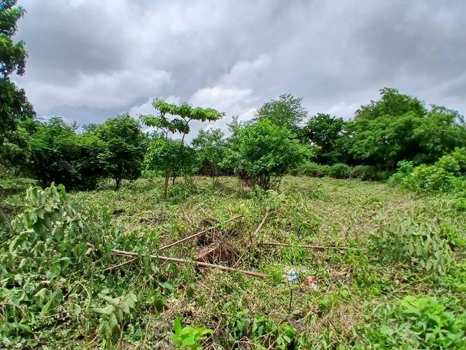 Se vende terreno las Jaguitas - Imagen 1