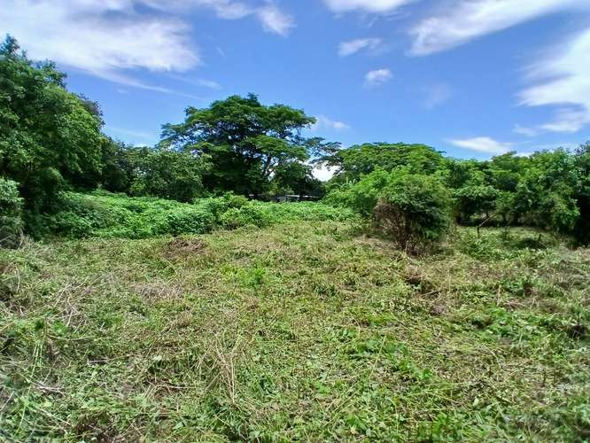 Se vende terreno las Jaguitas - Imagen 7