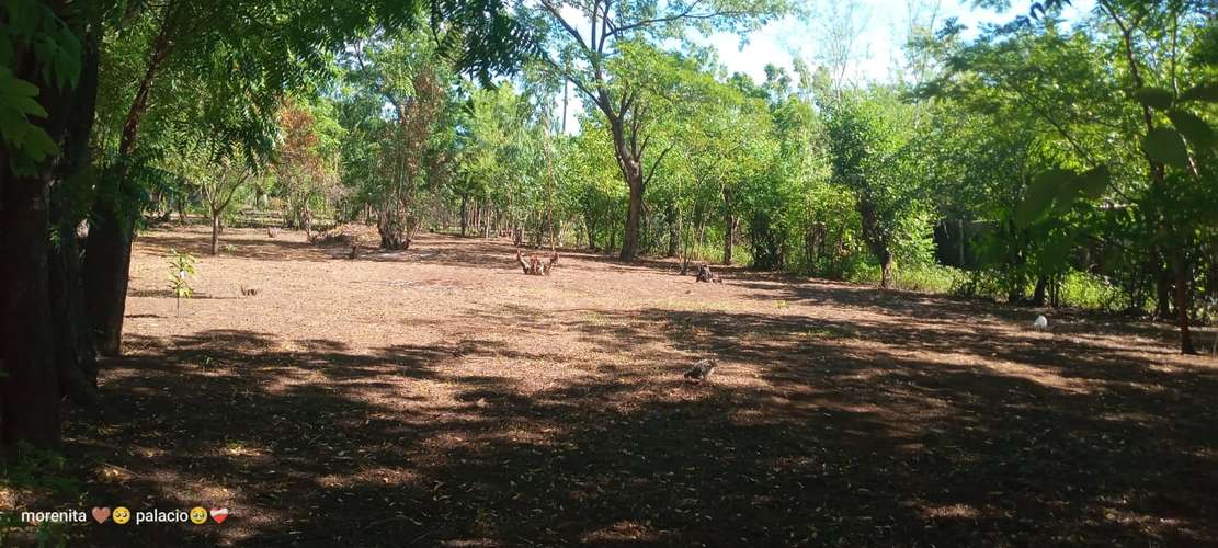 S/V lote de terreno en San Juan la playwood, Tipitapa.