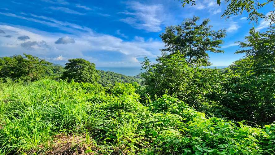 Lot 71 Spectacular Ocean View, Paradise Bay, San Juan Del Sur - Imagen 8