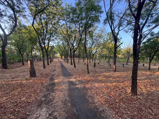Lakeside Retreat   Multi Unit Property - Imagen 19