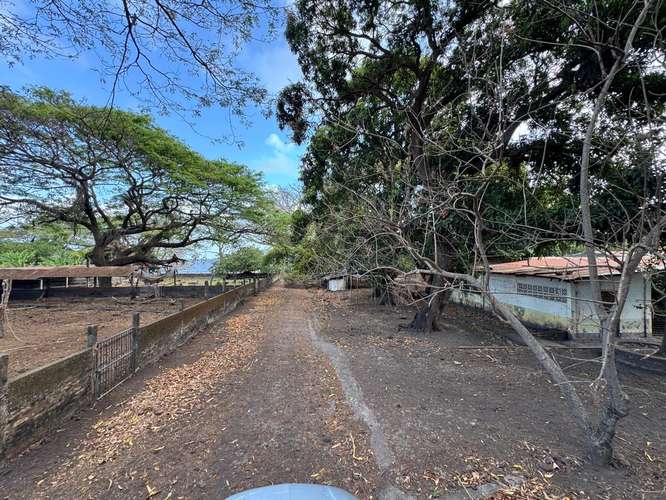 Historic Lakefront Estate - Imagen 17