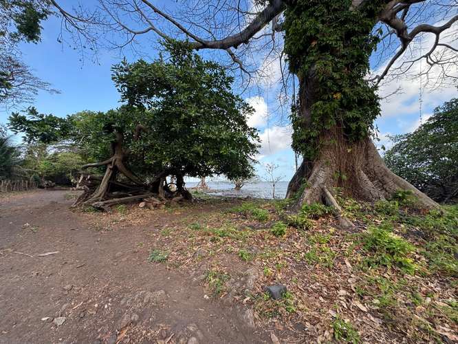 Historic Lakefront Estate - Imagen 10