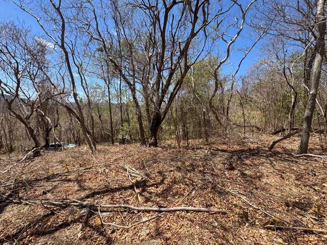 Pacific Pearl Lot 15   Ocean View Homesite - Imagen 13