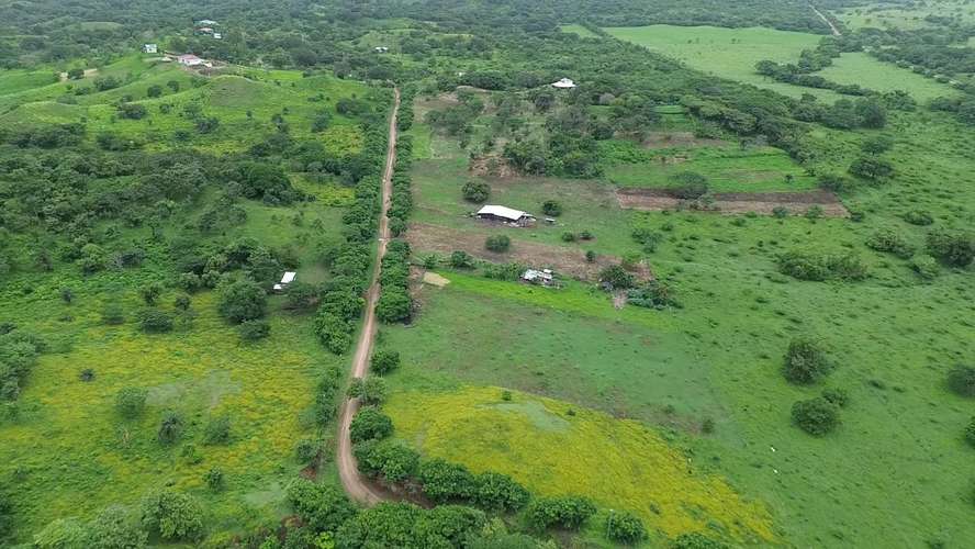 Peaceful Country Living on 2.5 Acres - Imagen 18