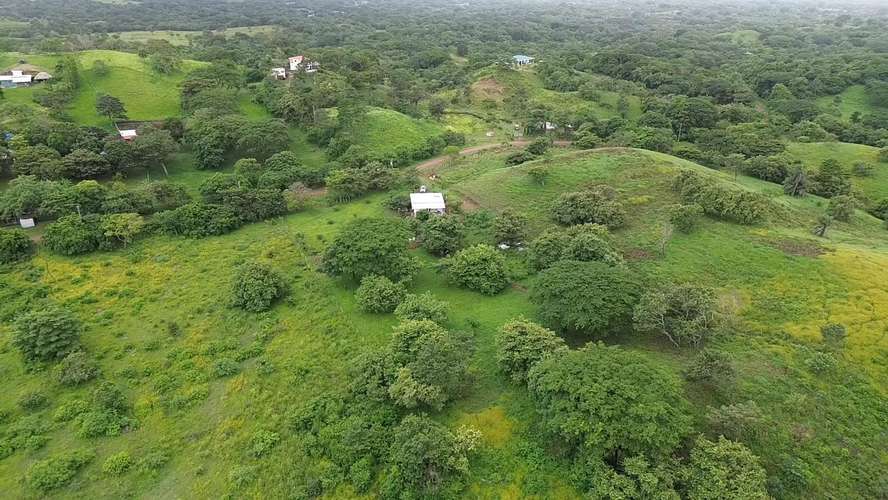 Peaceful Country Living on 2.5 Acres - Imagen 14