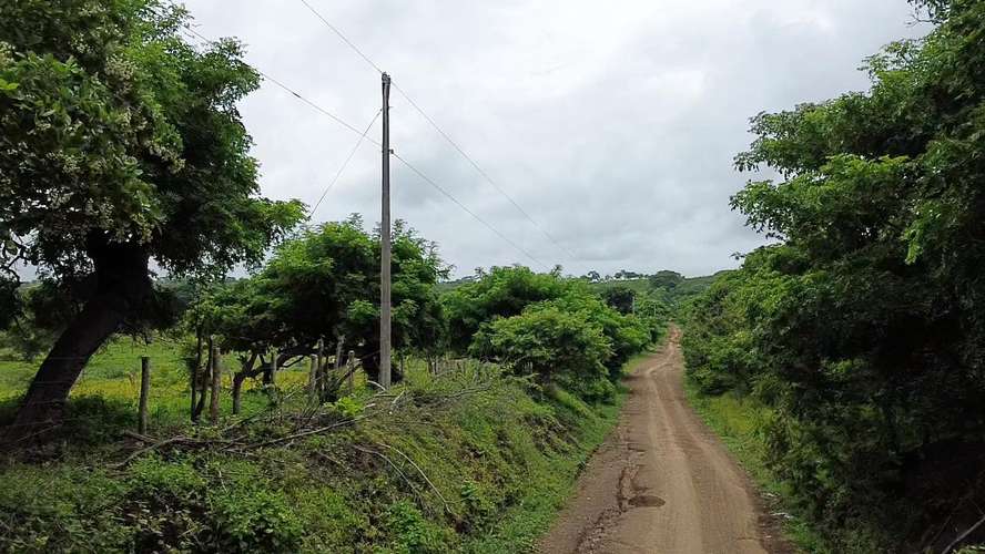 Peaceful Country Living on 2.5 Acres - Imagen 17