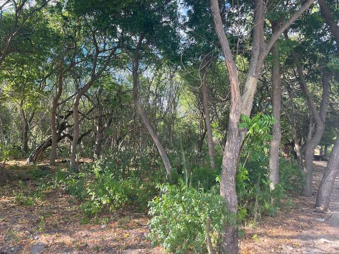 Venta de Terreno frente al mar en Tupilapa , Jinotepe  - Imagen 20