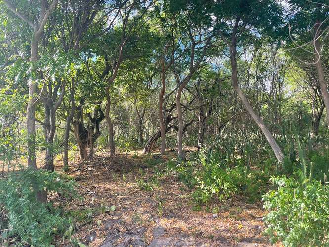 Venta de Terreno frente al mar en Tupilapa , Jinotepe  - Imagen 13