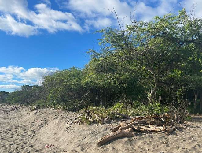 Venta de Terreno frente al mar en Tupilapa , Jinotepe  - Imagen 5
