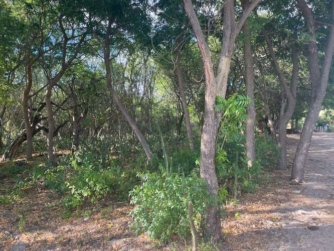 Venta de Terreno frente al mar en Tupilapa , Jinotepe  - Imagen 6