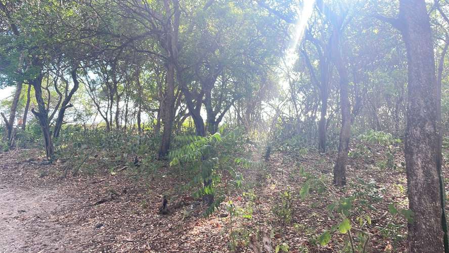 Venta de Terreno frente al mar en Tupilapa , Jinotepe  - Imagen 11