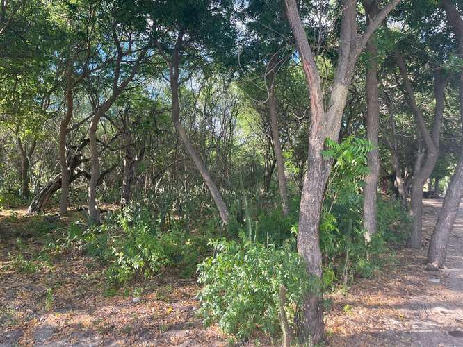 Venta de Terreno frente al mar en Tupilapa , Jinotepe  - Imagen 10