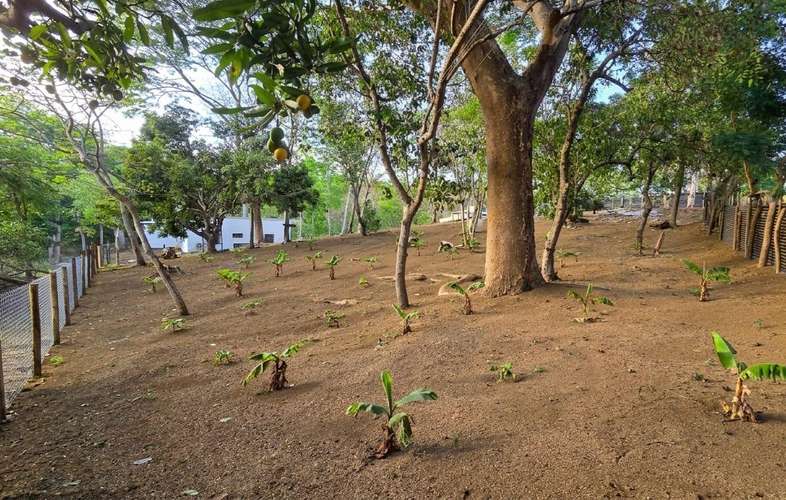 Venta de Terreno en Santo Domingo  - Imagen 20