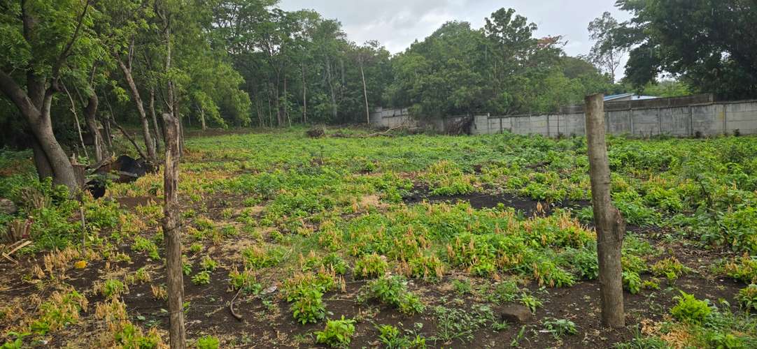 Venta de Terreno en Carretera Vieja a Leon  - Imagen 16