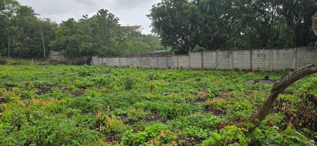 Venta de Terreno en Carretera Vieja a Leon  - Imagen 6