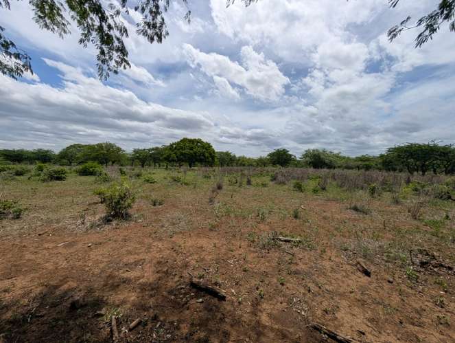 Venta de Finca en Salinas Grande, Leon 