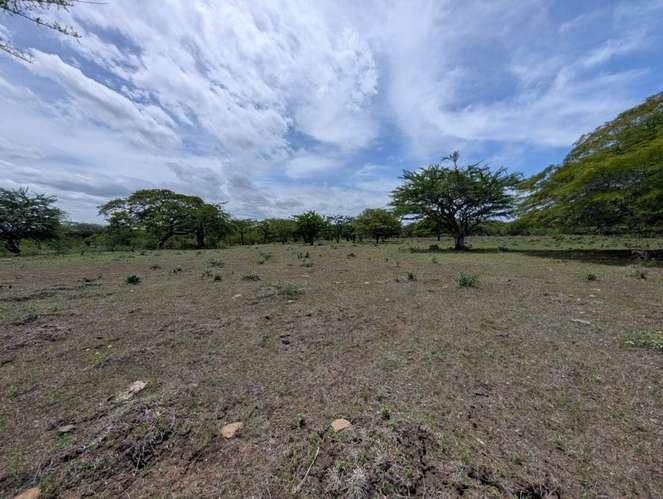 Venta de Finca en Salinas Grande, Leon 