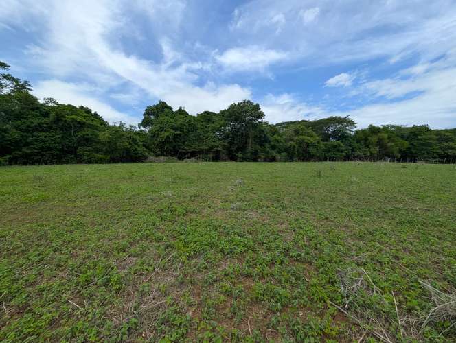 Venta de Finca en Salinas Grande, Leon 