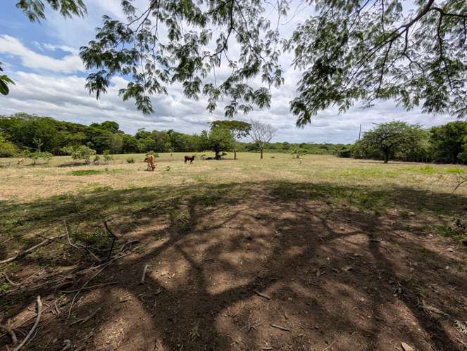 Venta de Finca en Salinas Grande, Leon 