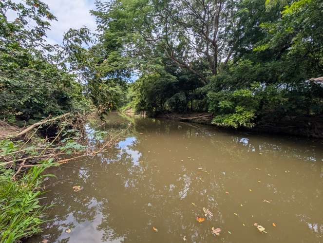 Venta de Finca en Salinas Grande, Leon 