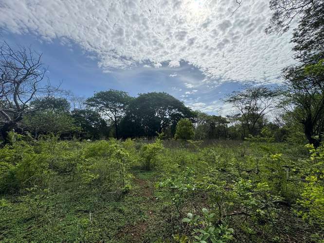Venta de Terreno en Las Jaguitas, Managua  - Imagen 15