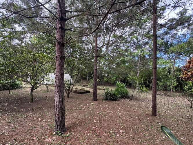 Venta de Terreno en Jinotepe  - Imagen 15