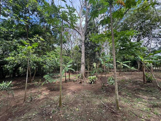 Venta de Terreno en Jinotepe  - Imagen 10