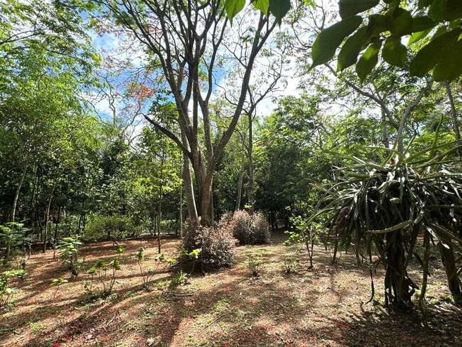 Venta de Terreno en Jinotepe  - Imagen 4